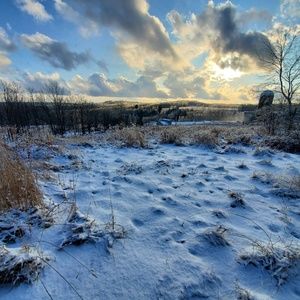 Meet your Posher, Gene